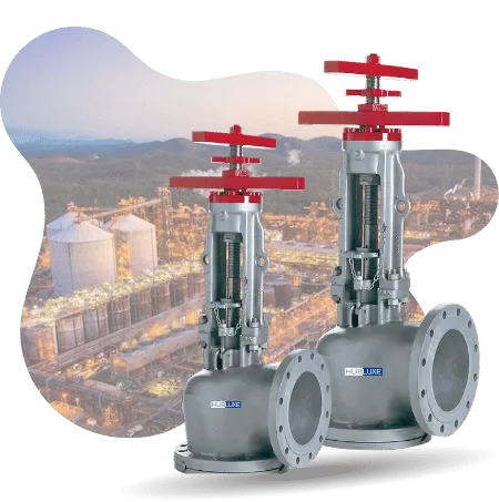 HUBLUXE Engineering - Leading Industrial Valve Manufacturer in India