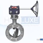 Double Offset Butterfly Valve (High Performance)