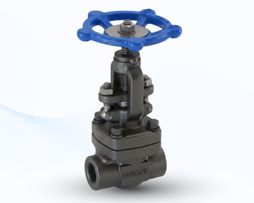 Forged Steel Globe Valve