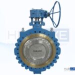 Triple Offset Butterfly Valve hubluxe